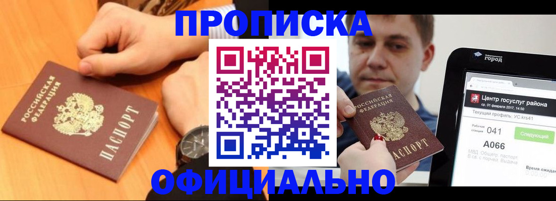 прописка поиск в Купино